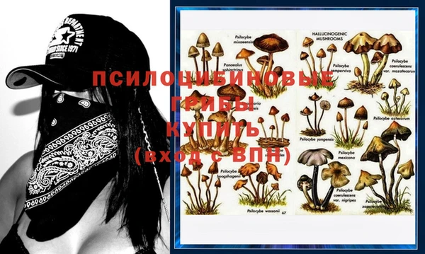 синтетический гашиш Нефтегорск