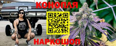 mdpv Гатчина