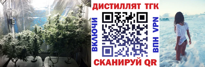 где найти   Тобольск  Дистиллят ТГК Wax 