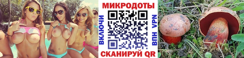 сколько стоит  Тобольск  Псилоцибиновые грибы Cubensis 