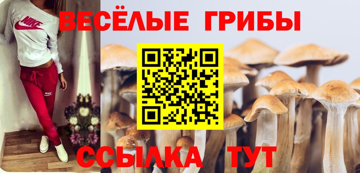 Как найти наркотики?  Гашик  Тобольск  LSD-25  Метамфетамин  Вход с VPN  Мяу-Мяу  Меф  Бошки Шишки  NBOMe  A PVP 