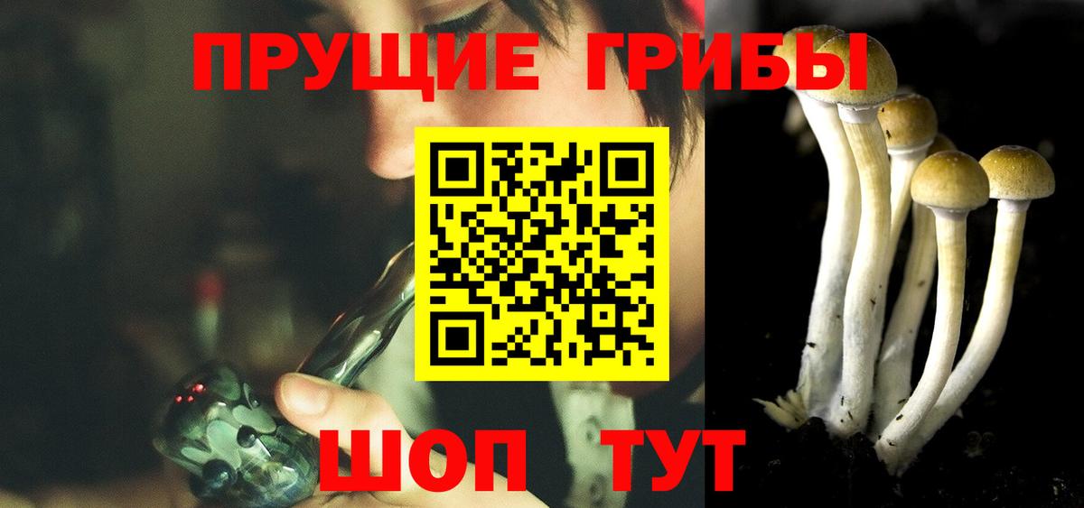 Псилоцибиновые грибы Magic Shrooms  Галлюциногенные грибы мухоморы  Вход с VPN  Тобольск 